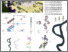 [thumbnail of Version of Record]
