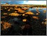 [thumbnail of artist residency on Little Woolden Moss]