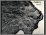 [thumbnail of Porosity publication cover]
