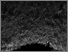 [thumbnail of Black Waters]