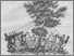 [thumbnail of The Tree of Intemperance The Teetotal Progressivist vol 1 no 6 p. 89-1.tif]