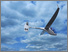 [thumbnail of UltraVision glider project render, designer: Gonzalo Garcia-Atance, image 4]